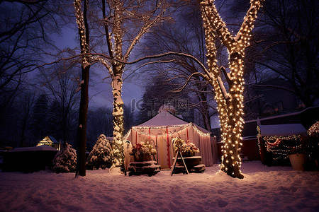 灯光照明背景图片_雪中​​的树照明