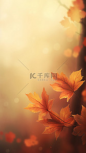 秋天金黄的银杏叶背景图片_秋天树叶气候