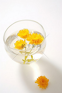 玻璃碗背景图片_玻璃碗里的一朵橙花