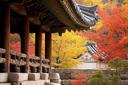 秋天的韩国传统建筑