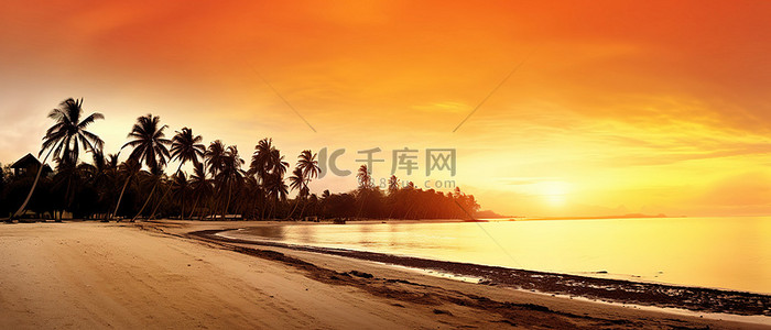 海天空背景图片_橙色天空下长满棕榈树的荒凉海滩