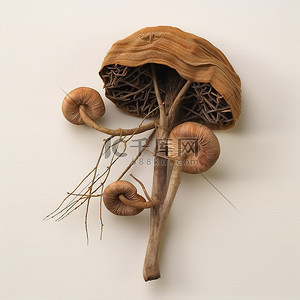 一个棕色的小蘑菇，里面伸出一根吸管