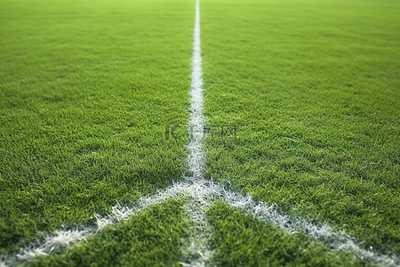 足球背景图片_绿色草地中间有一条白线的足球场