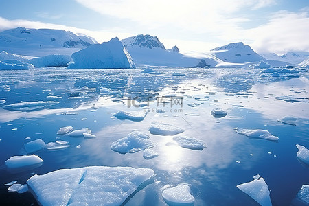 蓝色的大海，上面漂浮着浮冰