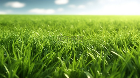 3d 渲染绿色草地背景的插图