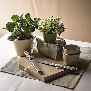 厨房板上的白色花盆和一件园艺设备