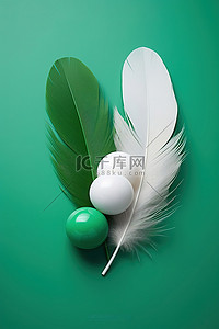 白色表面上有两根绿色和白色的羽毛