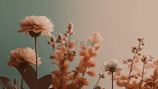 鲜艳的鲜花背景图片_鲜花粉色背景