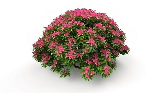 粉红色花背景背景图片_从上面看到的白色背景上的 3D 开花灌木