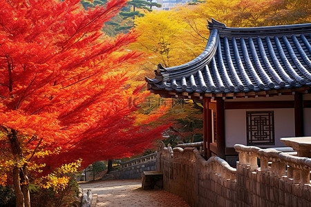 韩国首尔阿拉扎尔墓的秋色