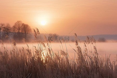 在河边背景图片_湖水长满了高高的草丛，夕阳在薄雾中落下