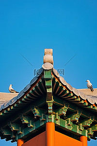 两只洋泾浜鸟在蓝天绿色宝塔的顶部