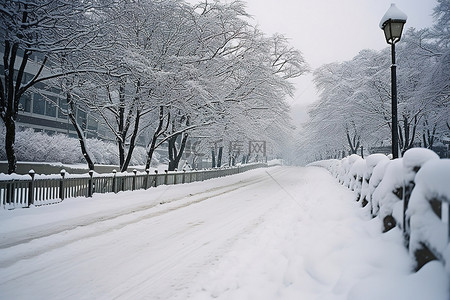 雪覆盖的公园附近一条被雪覆盖的道路