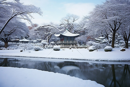 积雪覆盖的池塘，周围有树木