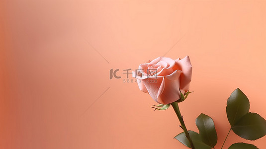 美丽的粉红色背景与 3D 渲染玫瑰样机