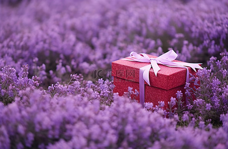 紫色花朵中间有一个成熟的盒子
