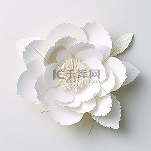 工艺设计背景图片_纸花白色花卉图案设计牡丹