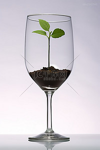 自有种植背景图片_在酒杯中种植植物