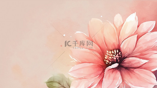 卡通粉色婚礼背景图片_鲜花树叶水彩粉色背景