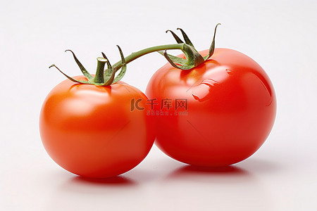 白色水滴背景图片_白色背景中的两个红番茄