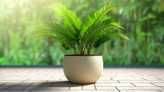 高清花盆图像中郁郁葱葱的绿色植物的 3D 渲染