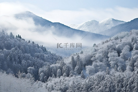冬天有雪覆盖的树木山脉和树木的地区
