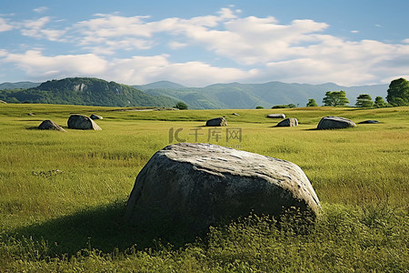背大石头背景图片_草地上的大石头，上面标有石头