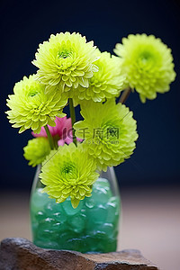 五颜六色的花背景图片_空花瓶里有一些五颜六色的花