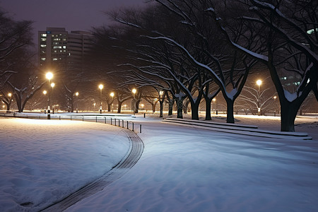 夜景日雪城市公园