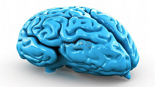 白色背景与 3d 呈现蓝色大脑
