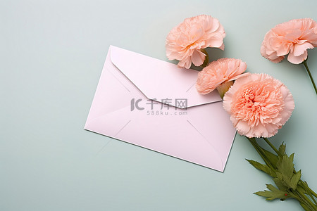 粉红色背景上的一个白色小信封和粉红色康乃馨