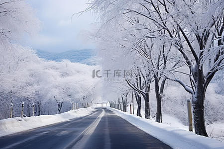有冬天雪的路 冬天风景