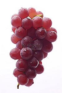 白色背景上的红葡萄串优质免版税código 4682