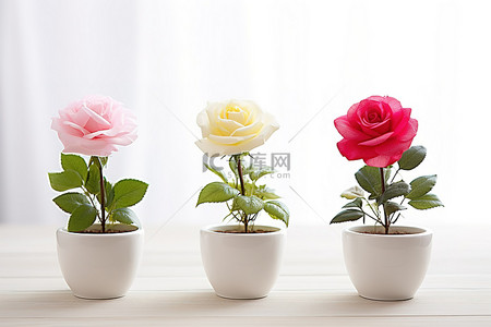 三色花背景图片_三株玫瑰植物排列在木桌上的白色碗里