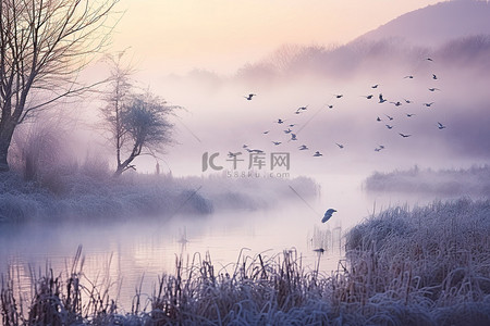 有水的地方背景图片_日出在一条河上，有雾，鸟儿飞过它