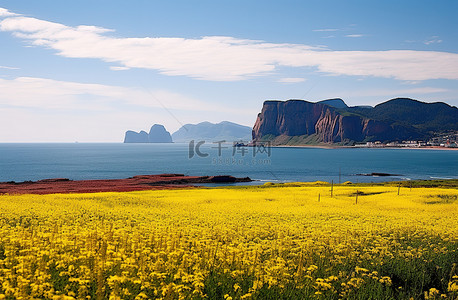 黄色的花田，上面有红色的悬崖和山脉