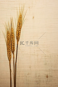 庄稼已经熟了背景图片_木质背景的两穗小麦