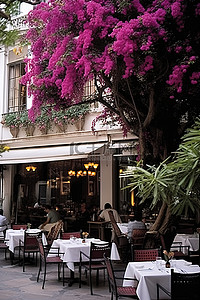 欧洲背景图片_以鲜花和树木为背景的户外用餐区