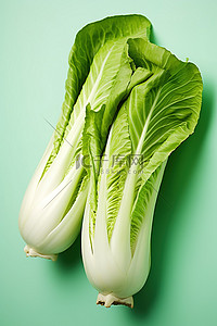 片绿色背景图片_味道鲜亮的表面上有两片绿色的大白菜叶