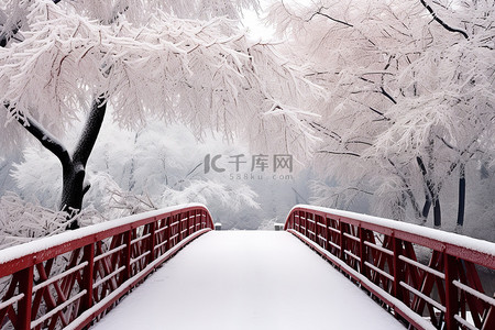 冬天柿子树背景图片_一条人行道周围环绕着积雪的树木