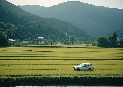 稻田村庄背景图片_一辆汽车正沿着一些稻田行驶到附近的山上