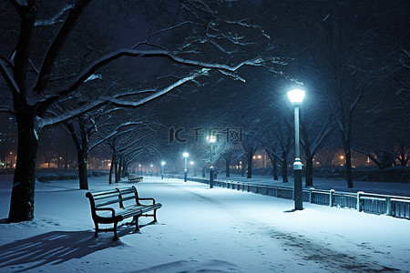 晚上的公园有树长凳和雪
