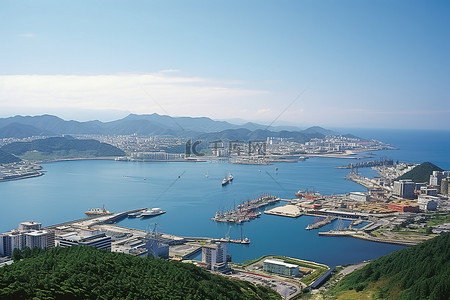 台湾金煌芒背景图片_台湾城市港口和码头的景观
