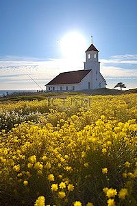 教堂教堂在田野里黄色的花朵和阳光