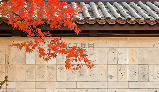 在砖墙上的红叶有秋天树的