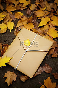 街上铺着树叶的棕色笔记本，上面有邮局信封