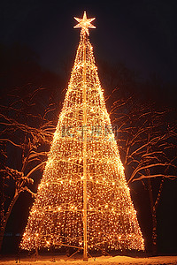 圣诞树亮背景图片_一棵大圣诞树在黑暗中亮起
