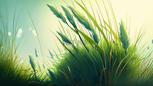 草地阳光草丛