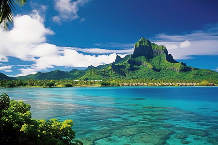 热带树木背景图片_岛屿周围的泻湖和大山
