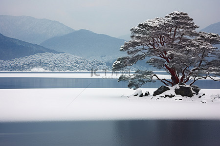 雪山湖景背景图片_有树木和雪山的冬季景观